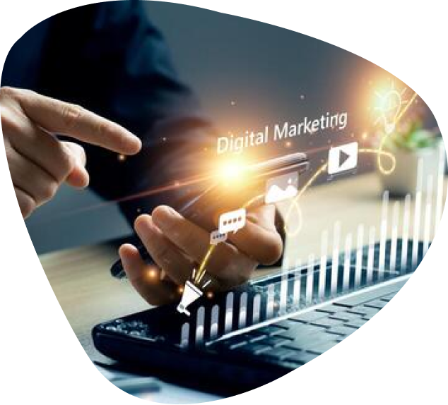 Website Designing Company In Delhi