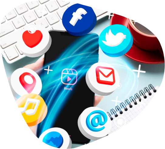 SEO Company in Gurgaon